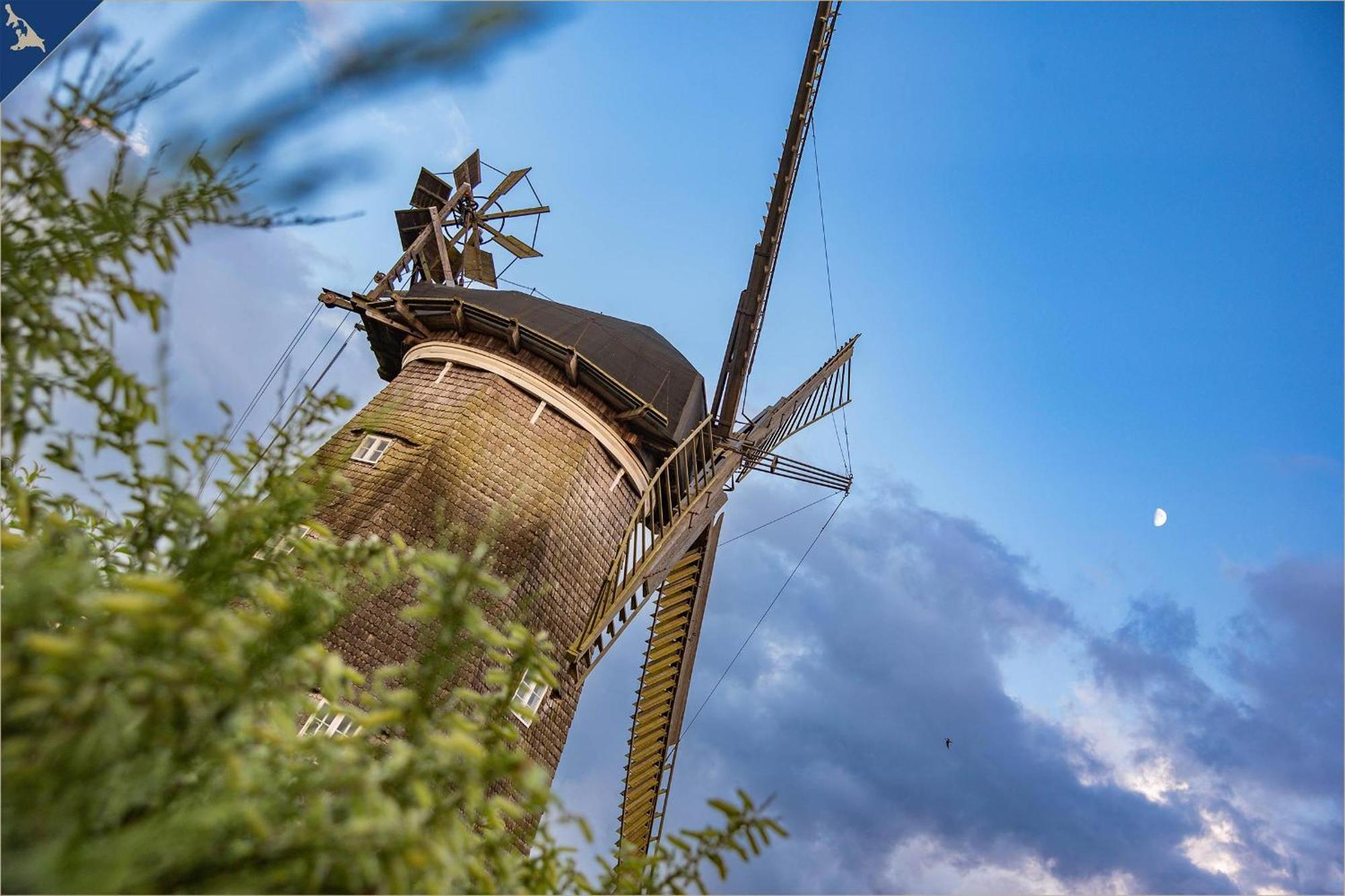 Apartmán Tema 14 Heringsdorf  Exteriér fotografie